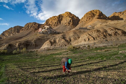 Peasant Key Village A Great Stillness. Spiti, Himachal Pradesh. May 2022