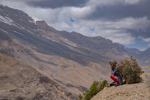 Villager with Penmah Grass A Great Stillness. Spiti, Himachal Pradesh. May 2022