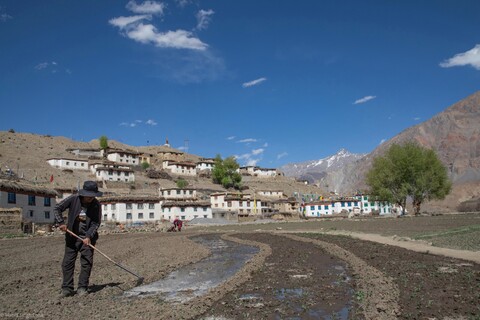 Irrigation at Mane Village A Great Stillness. Spiti, Himachal Pradesh. May 2022
