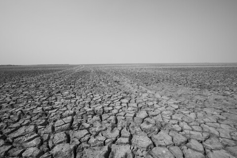Water Tracks Desert Freedom, Rann of Kutch, Gujarat, January 2023