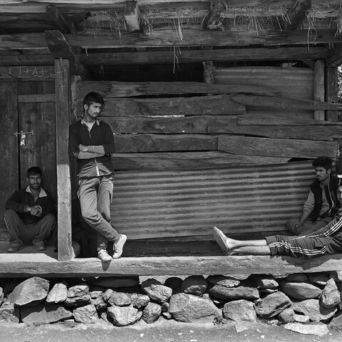 Lolab Valley, Kashmir. May 2016. 