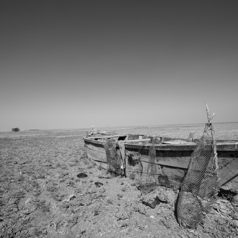 Desert Freedom, Rann of Kutch, Gujarat, January 2023