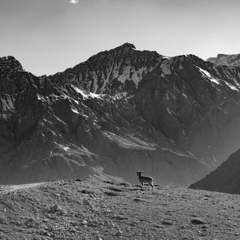 A Great Stillness. Spiti, Himachal Pradesh. May 2022